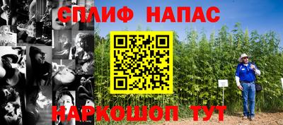 шишки Дмитров