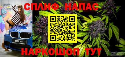 шишки Дмитров